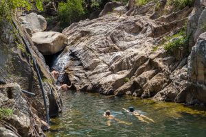 jungle in vietnam no wind trips