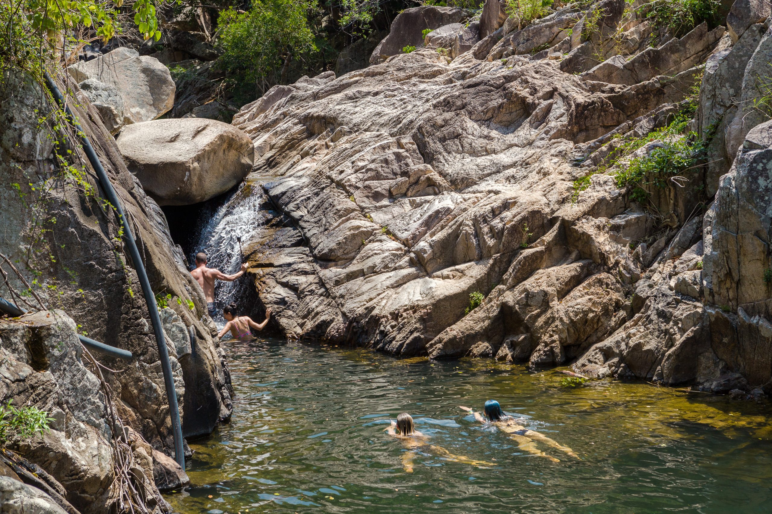 jungle in vietnam no wind trips
