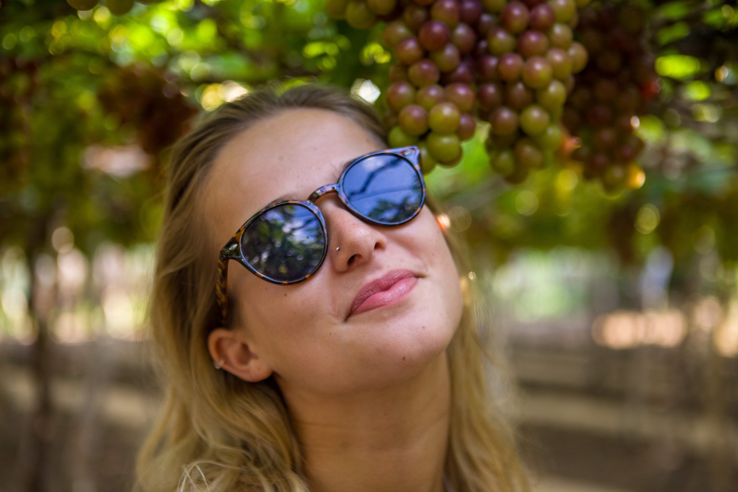 C2sky tours happy faces